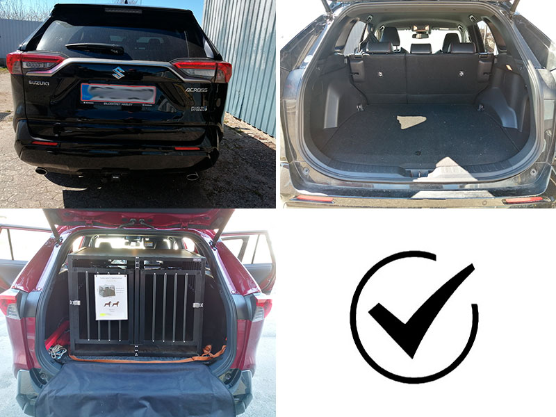 (ca. 2023 ->  i dag)