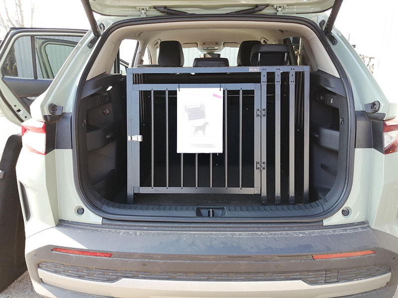 Example of (ca. 2025 ->  i dag)